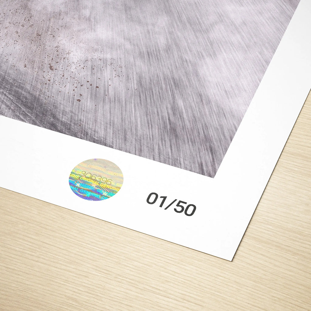 Poster BMW CSL 3.0 12h of Sebring 1975 Drift - Edition Limitée Exclusive Edition carsandme.com